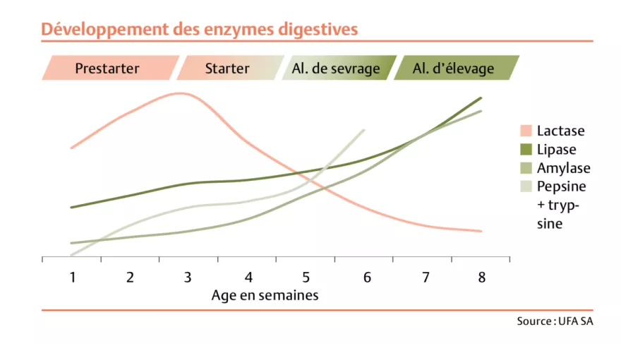 Grafik Schweine Entwicklung Verdauungsenzyme FR