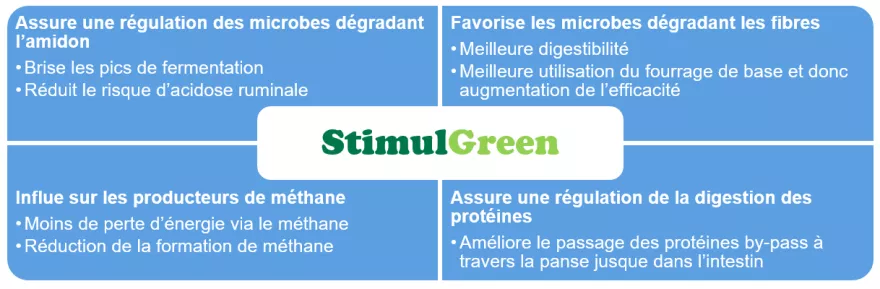 Grafik Stimul-Green FR