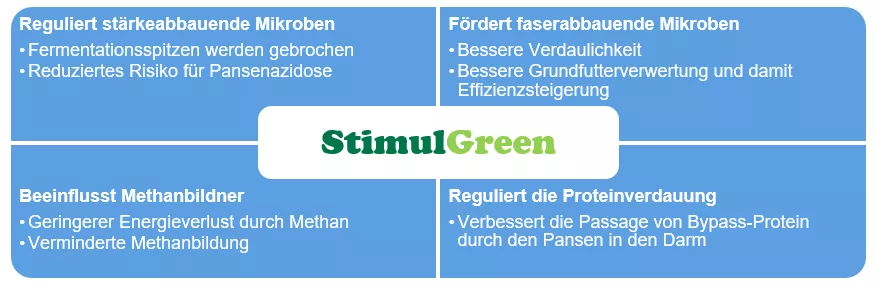 Grafik Stimul-Green