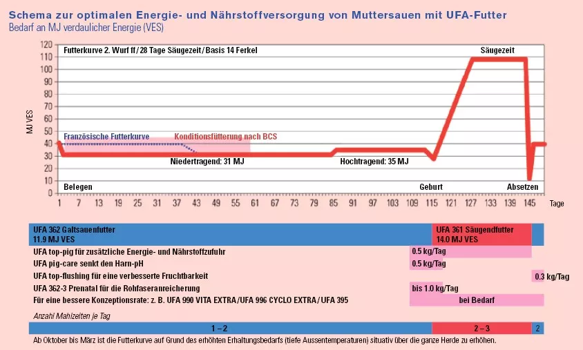 Schema zur optimalen Versorgung