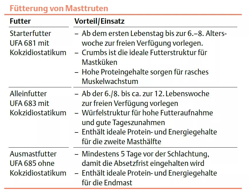 Tabelle Fütterung von Masttruten