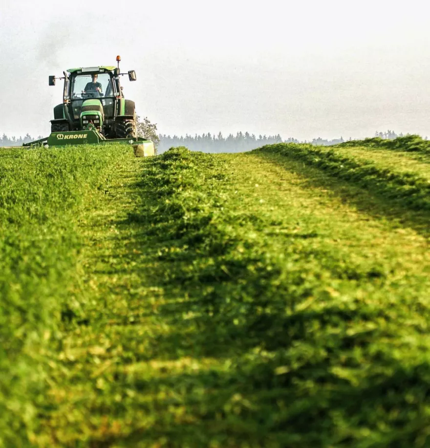 Traktor am mähen