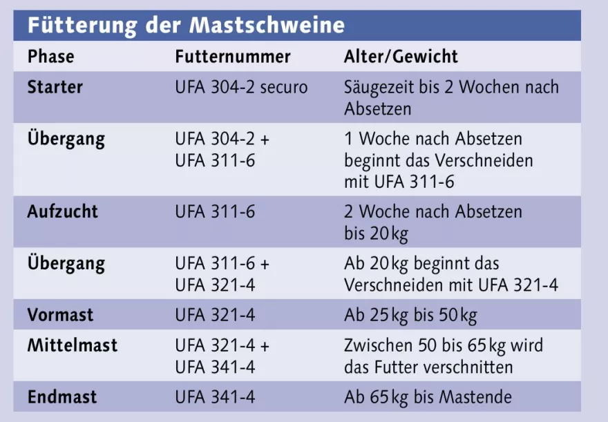 Fütterung Mastschweine