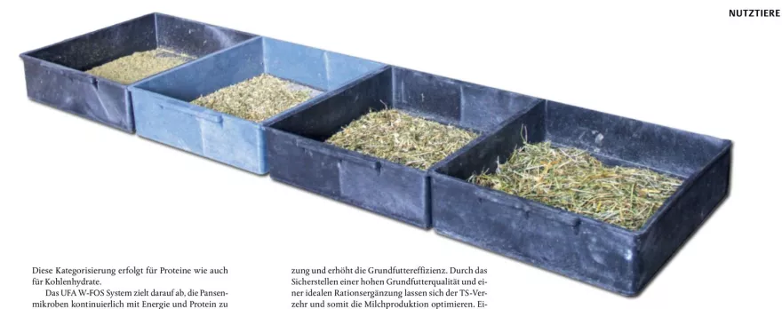 Schüttelbox