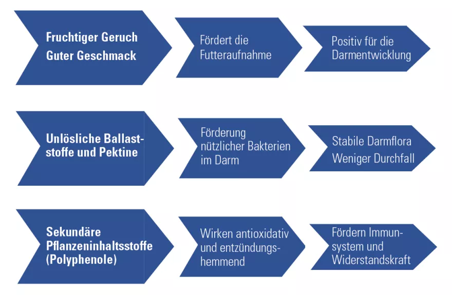 UFA 308-7 oder 474-7 Gute Kotbeschaffenheit über das Absetzen